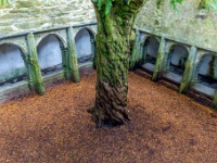 Muckross Abbey